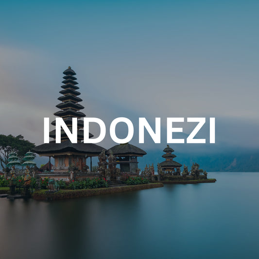 Indonezi