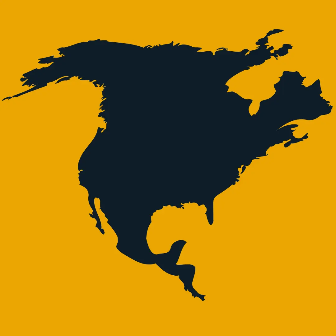 Flag Icon