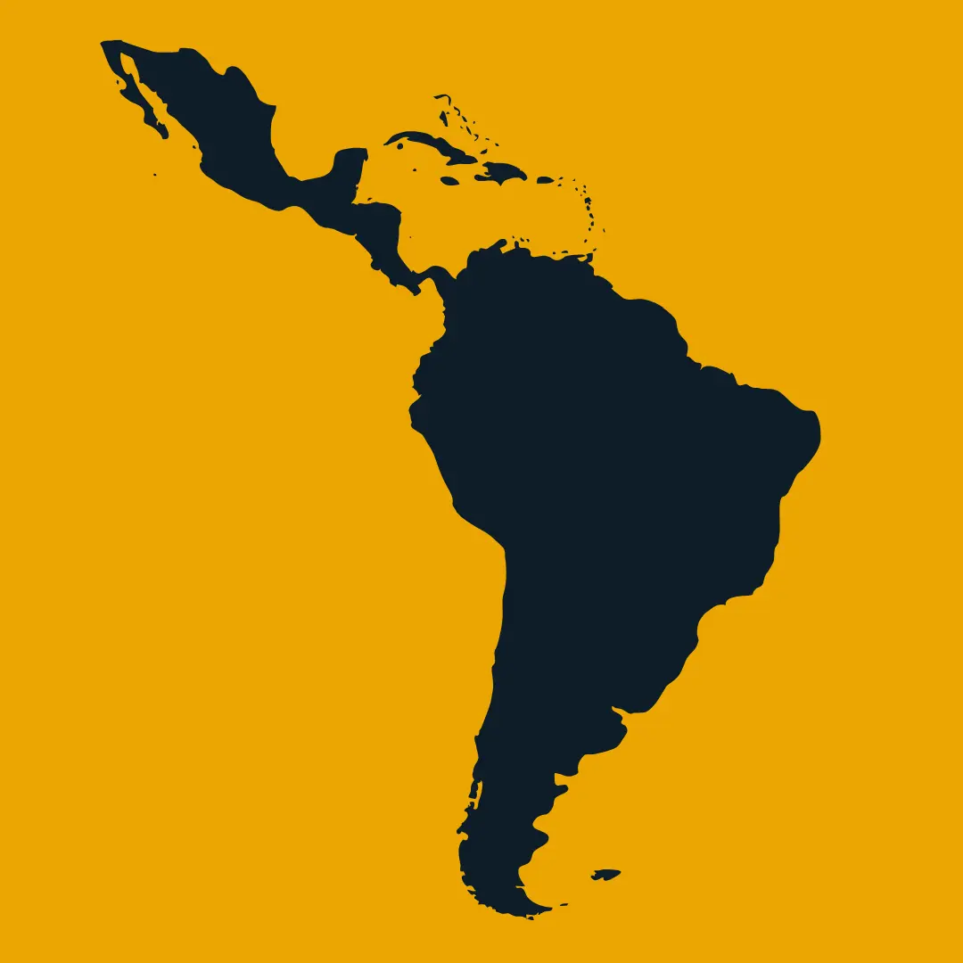 Flag Icon