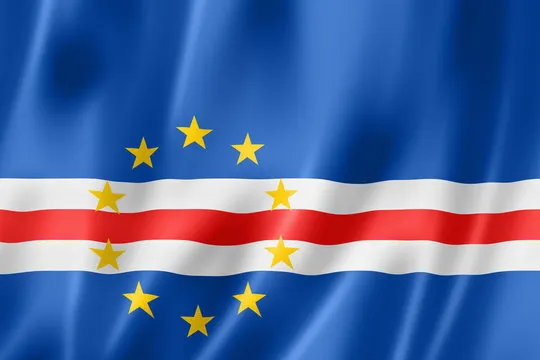 Flag Icon