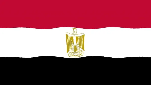 Flag Icon