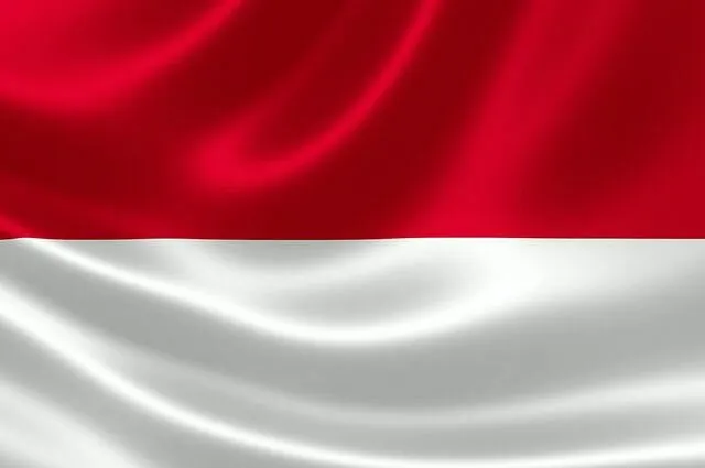 Flag Icon