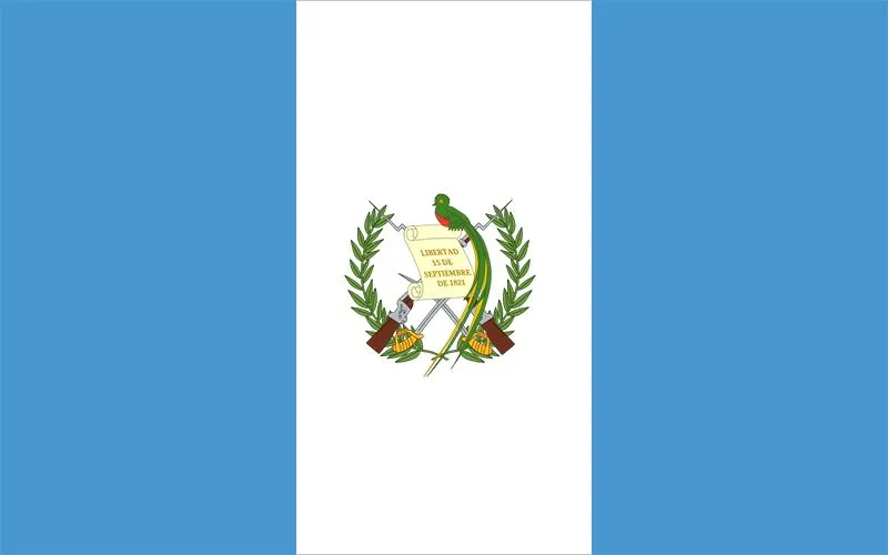 Flag Icon