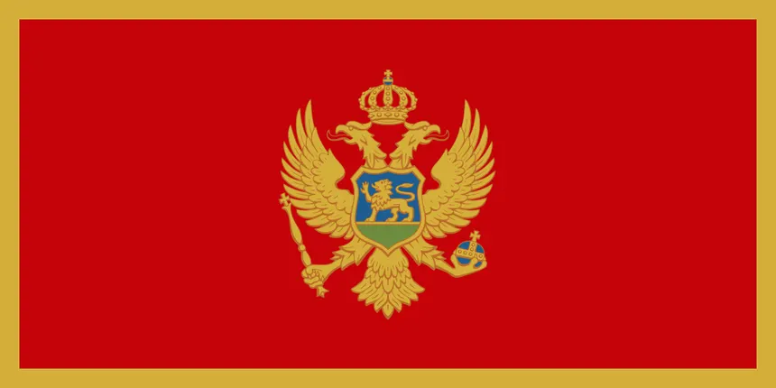 Flag Icon