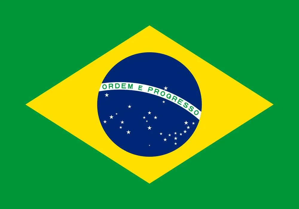Flag Icon