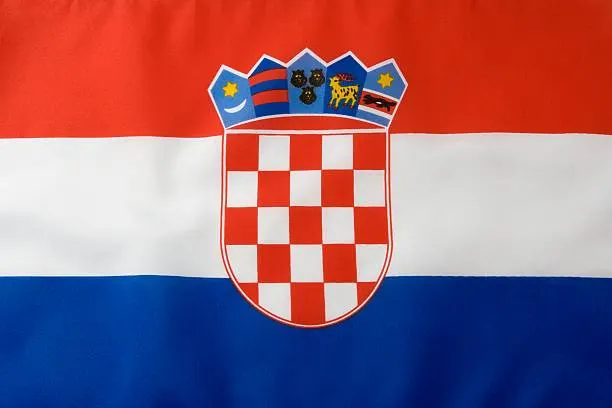 Flag Icon