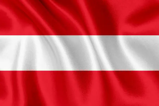 Flag Icon