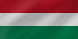 Flag Icon