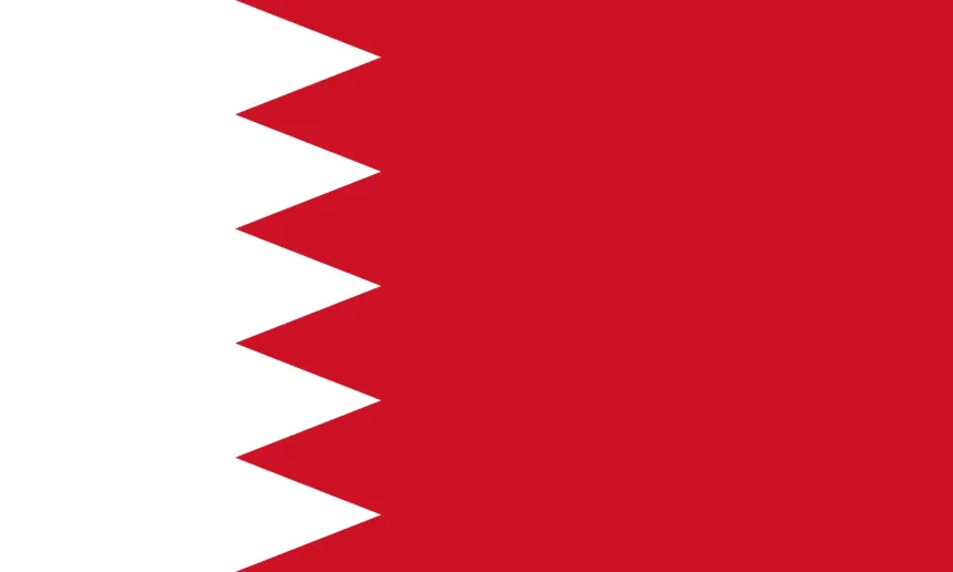 Flag Icon