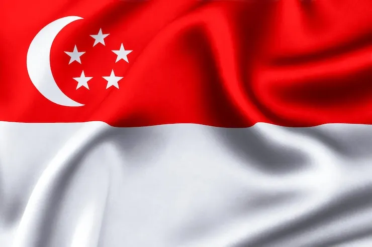 Flag Icon