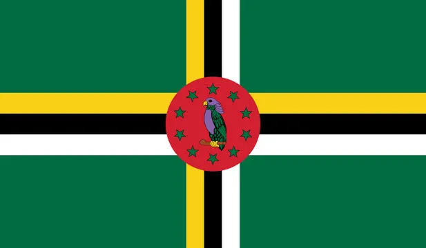 Flag Icon