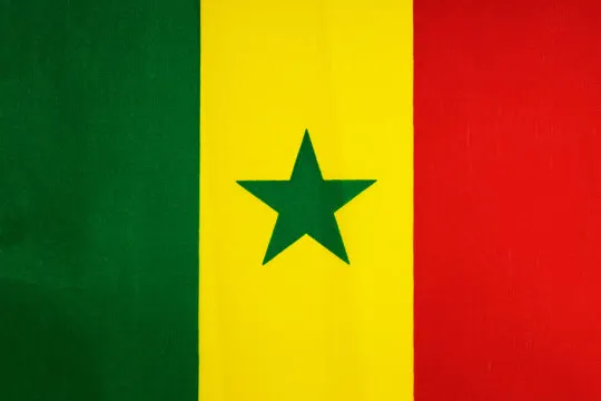 Flag Icon