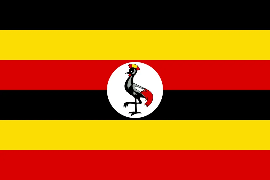 Flag Icon
