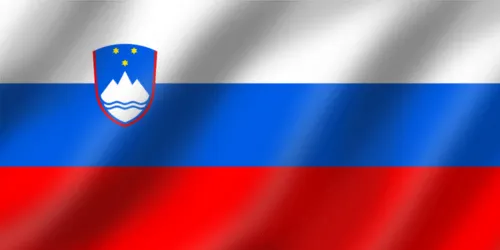 Flag Icon