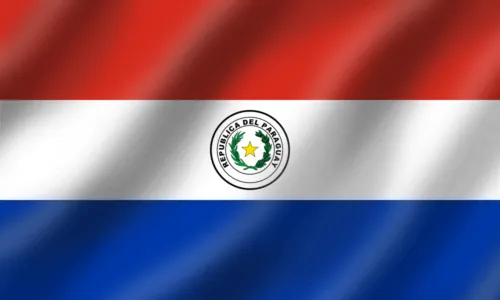 Flag Icon