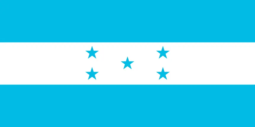 Flag Icon