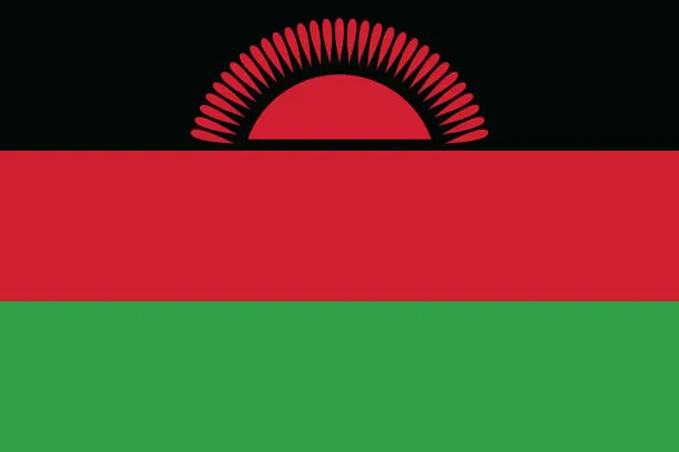 Flag Icon