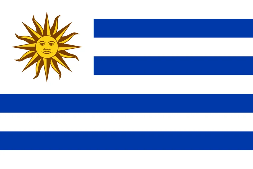 Flag Icon