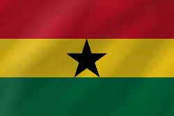 Flag Icon