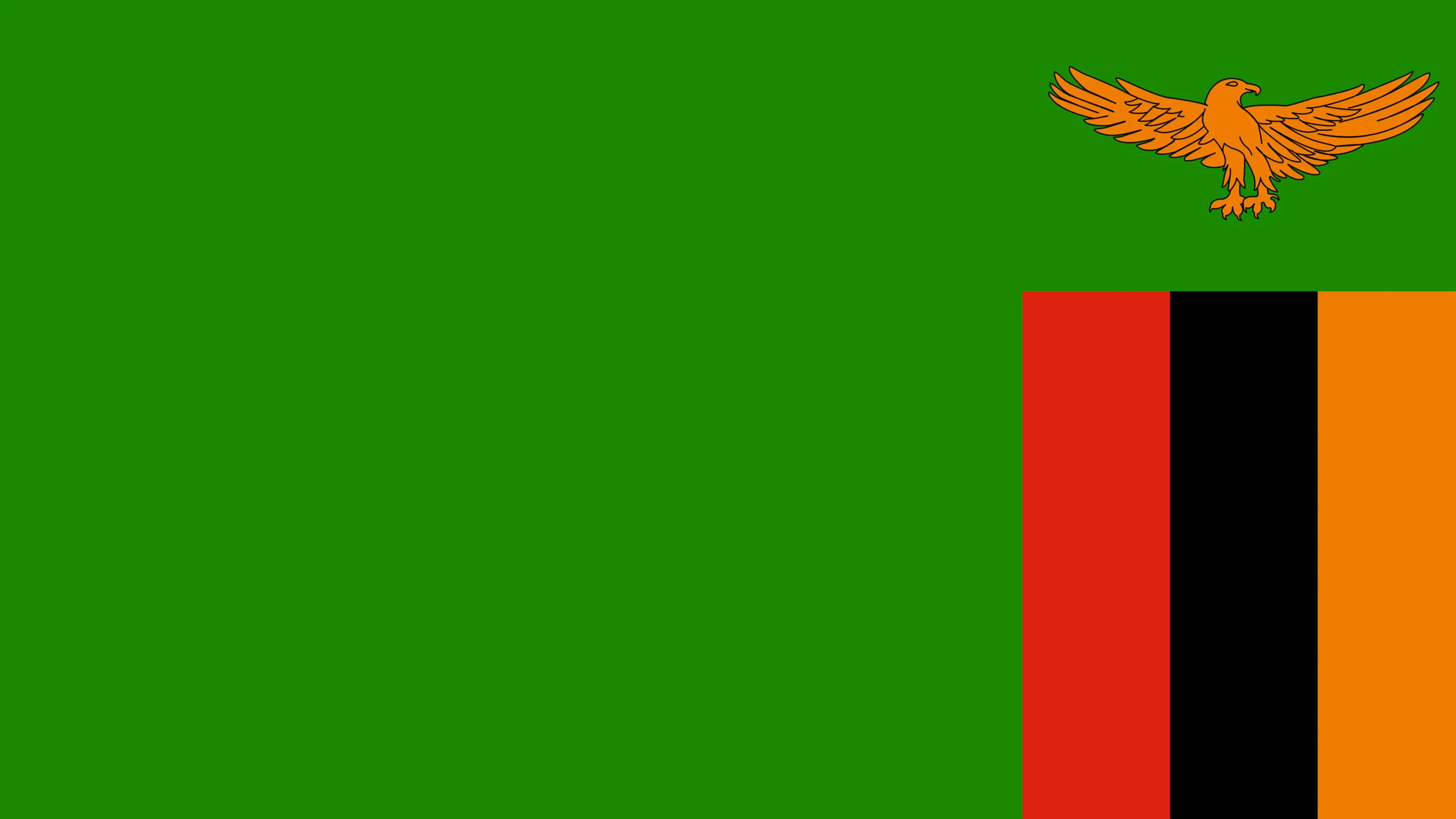 Flag Icon